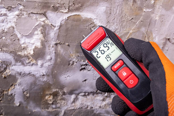 Best Post-Flood Mold Remediation in Indian River Estates, FL