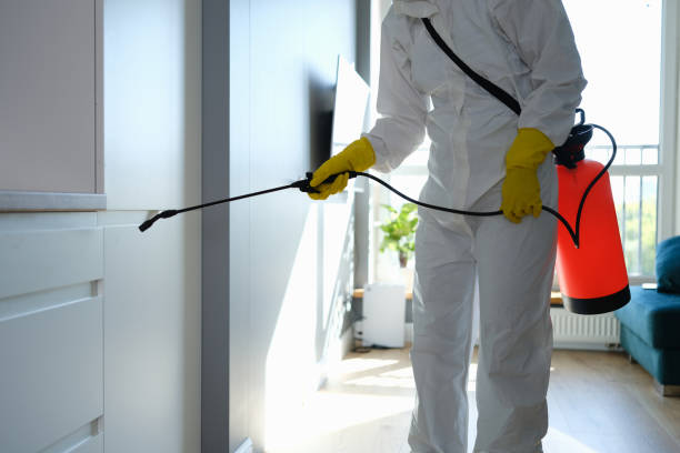 Best HVAC Mold Remediation in Indian River Estates, FL